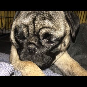 Meet your Posher, Meagan